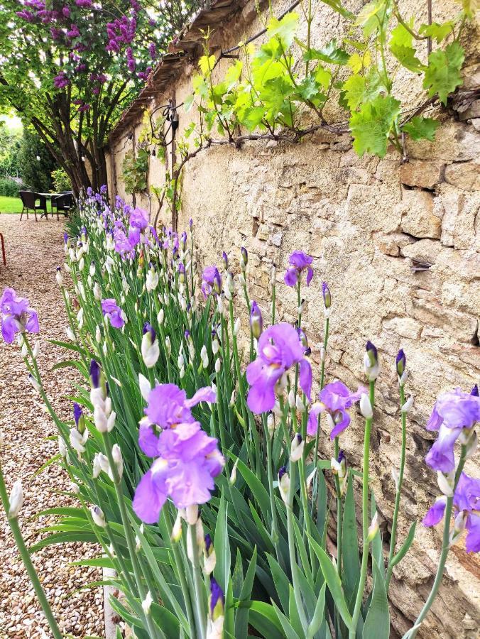 Bed and Breakfast Le 14 Faubourg à Beaune  Extérieur photo